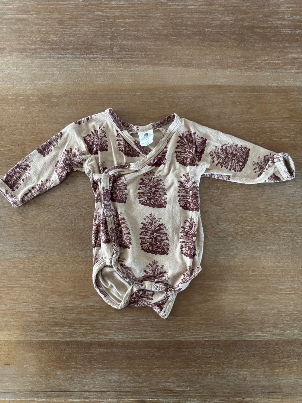 Kate Quinn pinecone Kimono bodysuit
